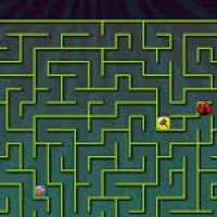 Maze Race